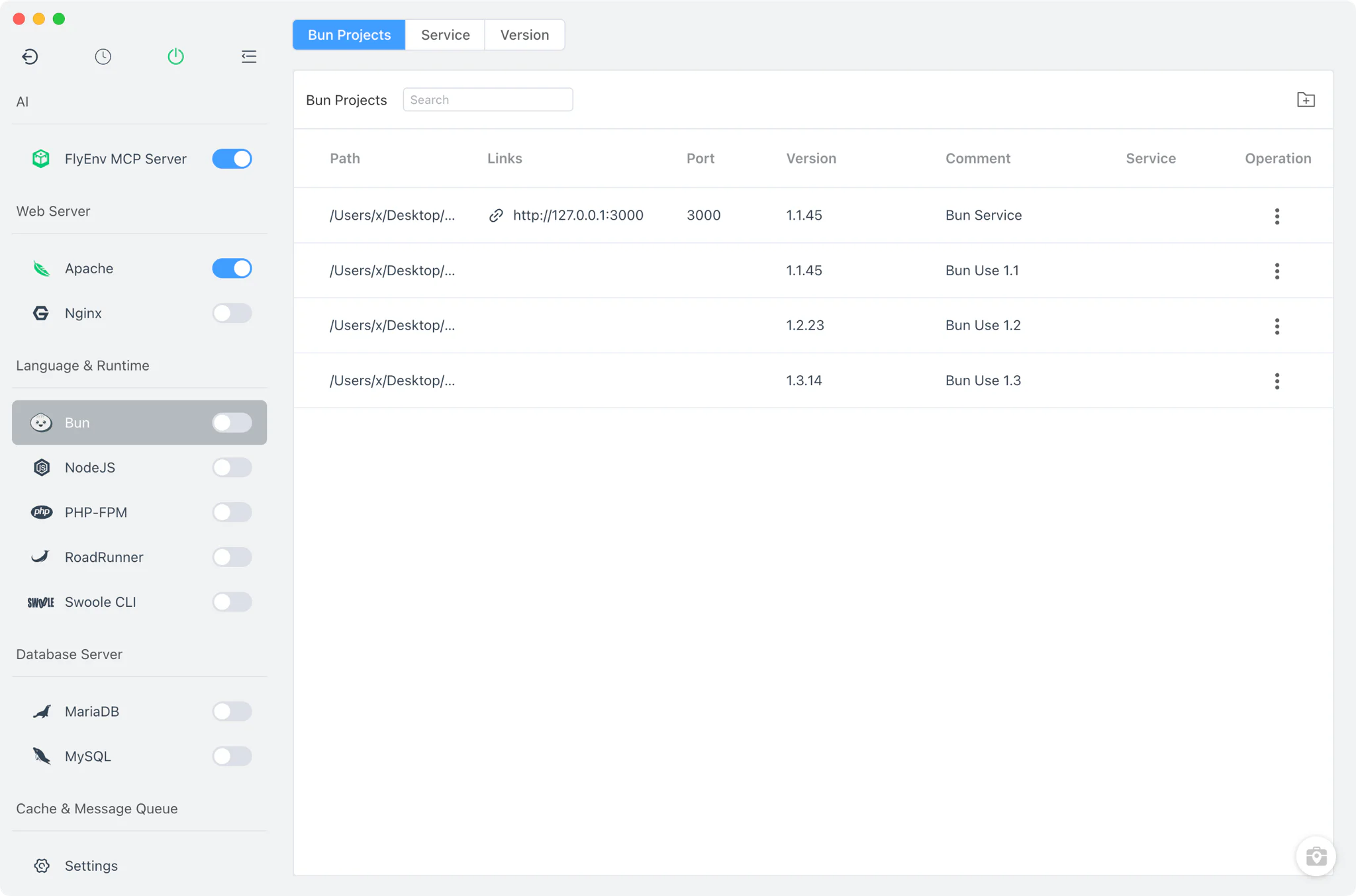 FlyEnv Bun module overview
