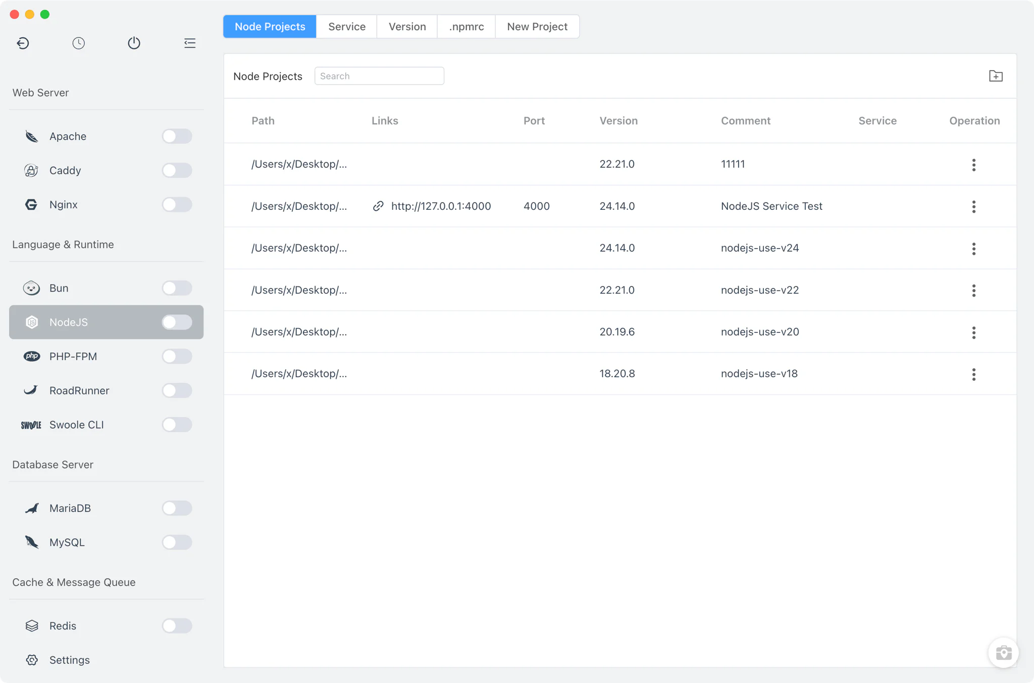 Version table with PATH toggles showing entries set by FlyEnv