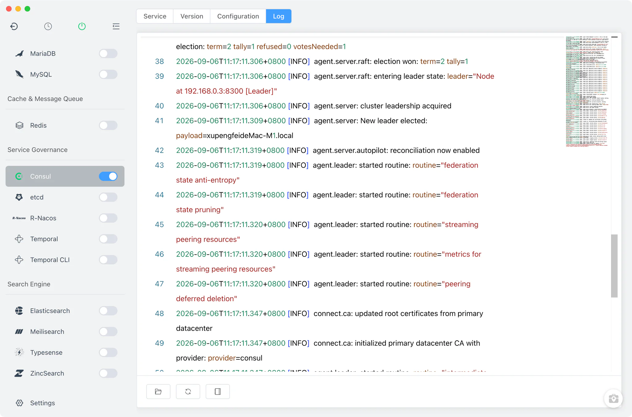 Consul log viewer in FlyEnv