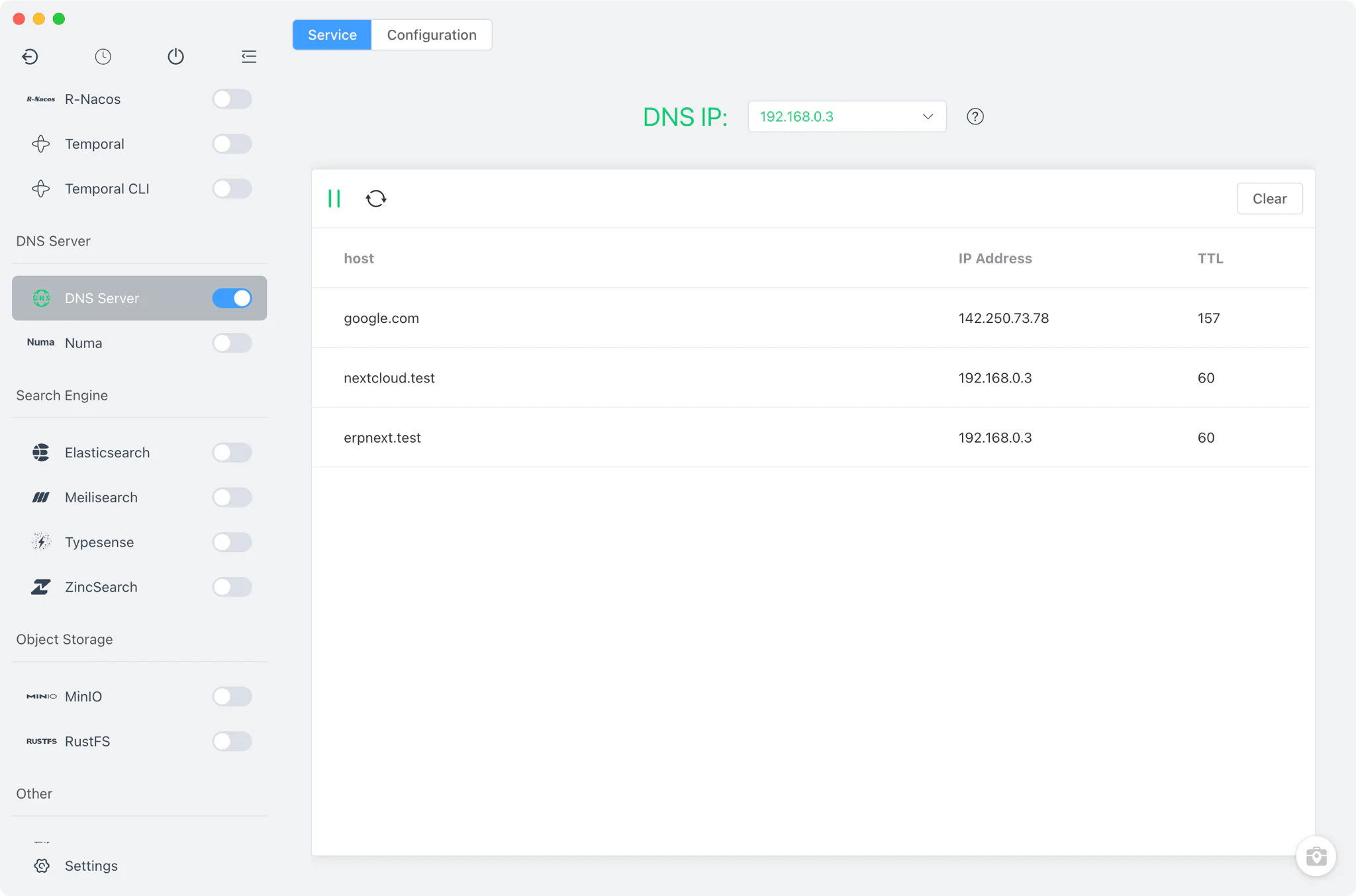 FlyEnv DNS Server module with the service running on port 53