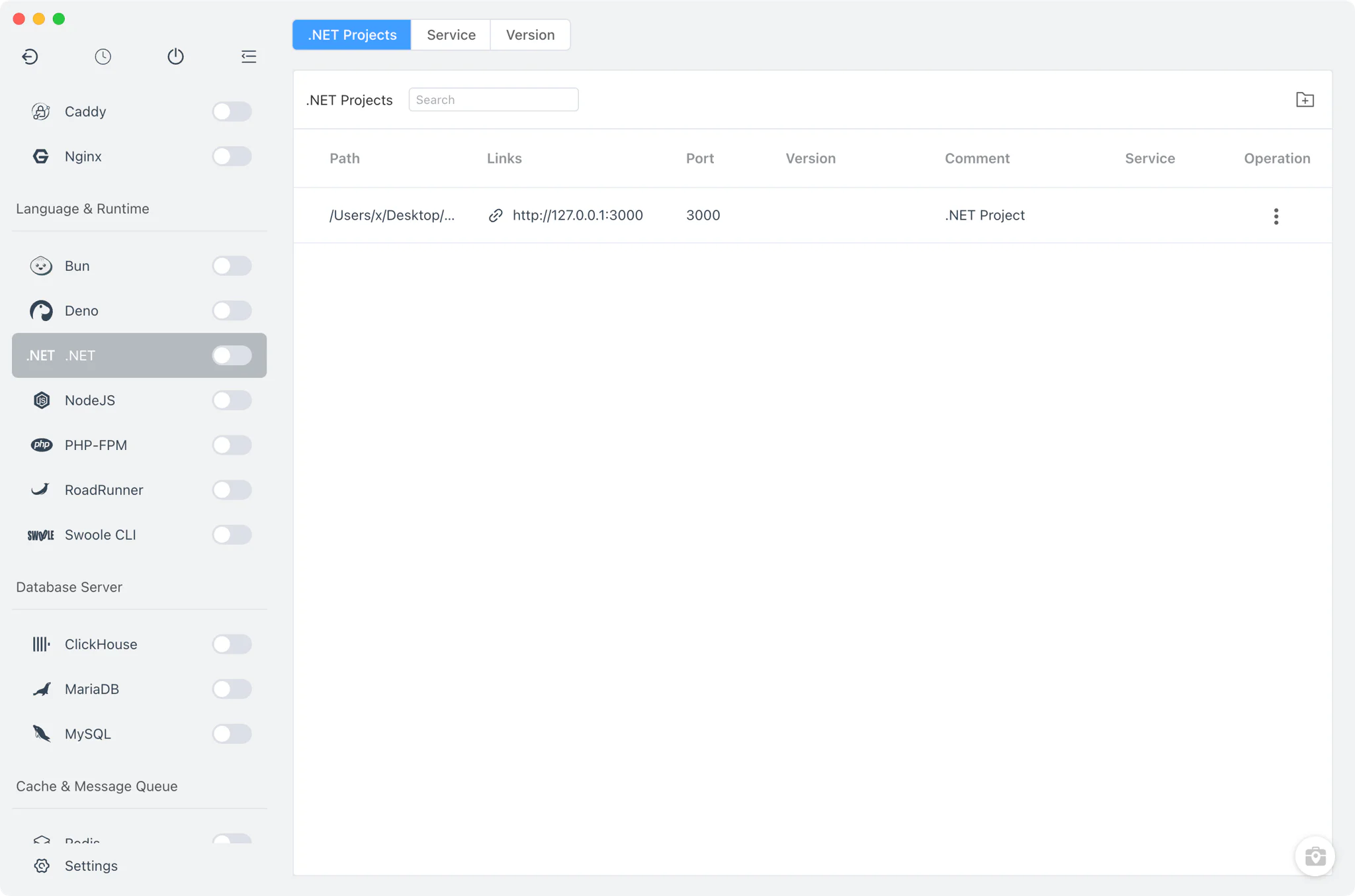 FlyEnv .NET module with Projects, Service and Version Manager tabs
